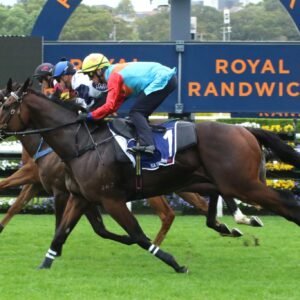 Diamond Doubles – Smart Horse Racing Betting System