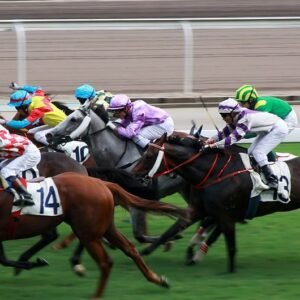 7 Bets 4 Free – Horse Racing Betting System