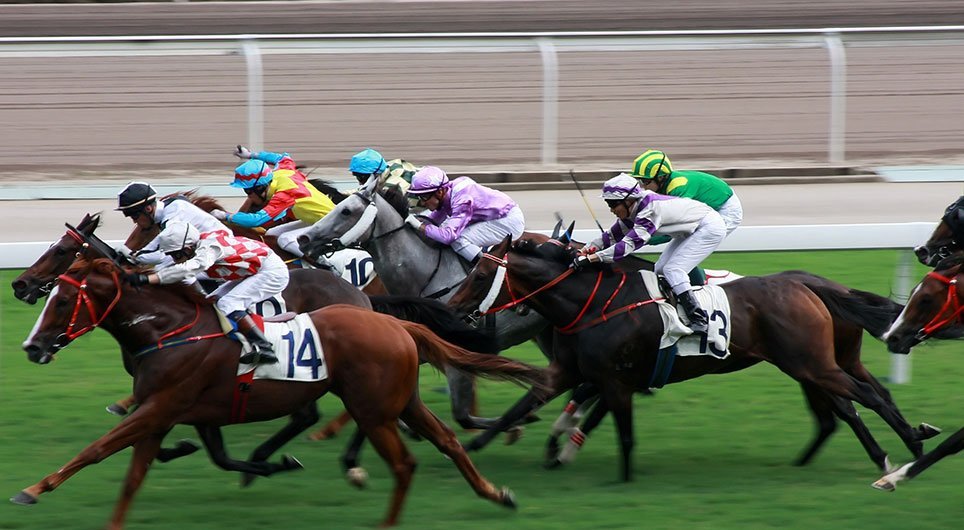 7 Bets 4 Free – Horse Racing Betting System